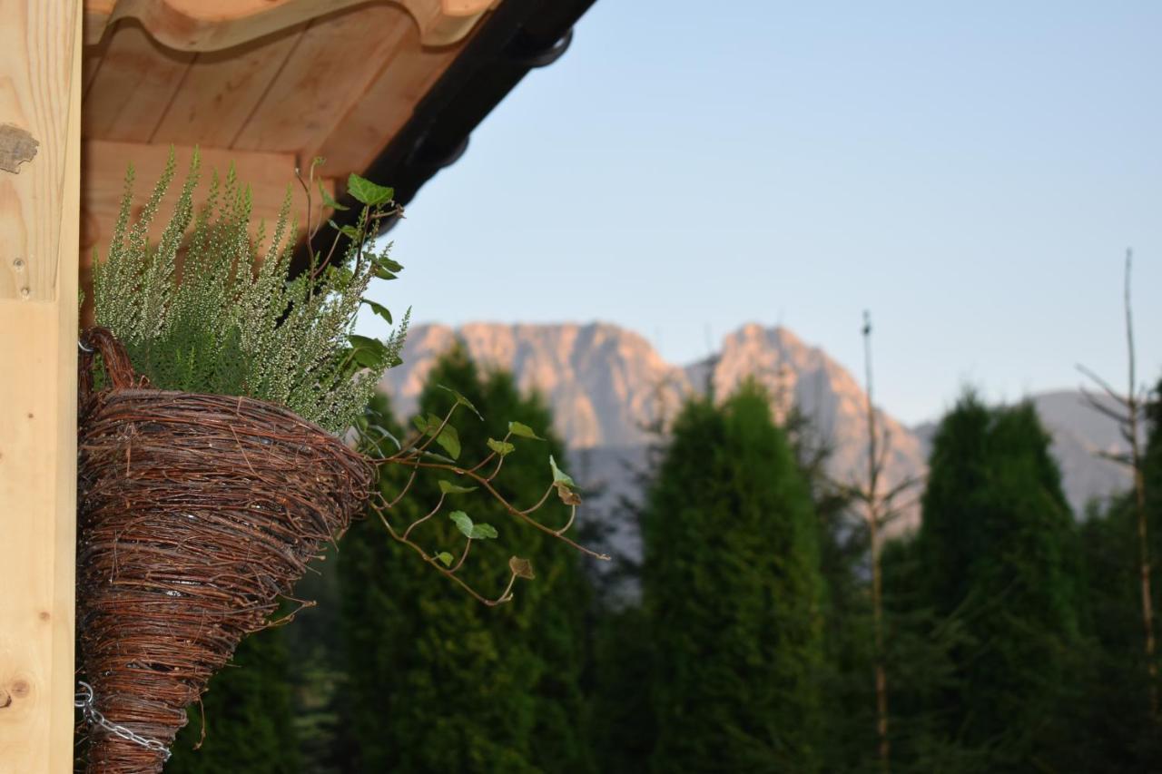 Villa Fiedorowka Zakopane Exterior foto