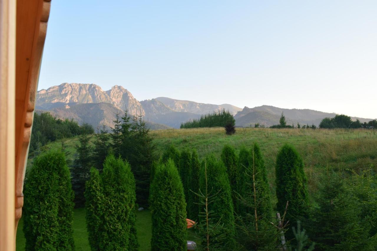 Villa Fiedorowka Zakopane Exterior foto